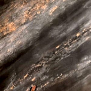 İstanbul34 Dekorasyon