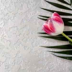 İstanbul34 Dekorasyon